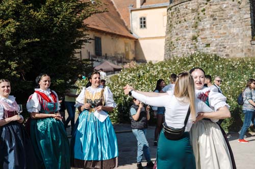 Festival vína VOC Znojmo